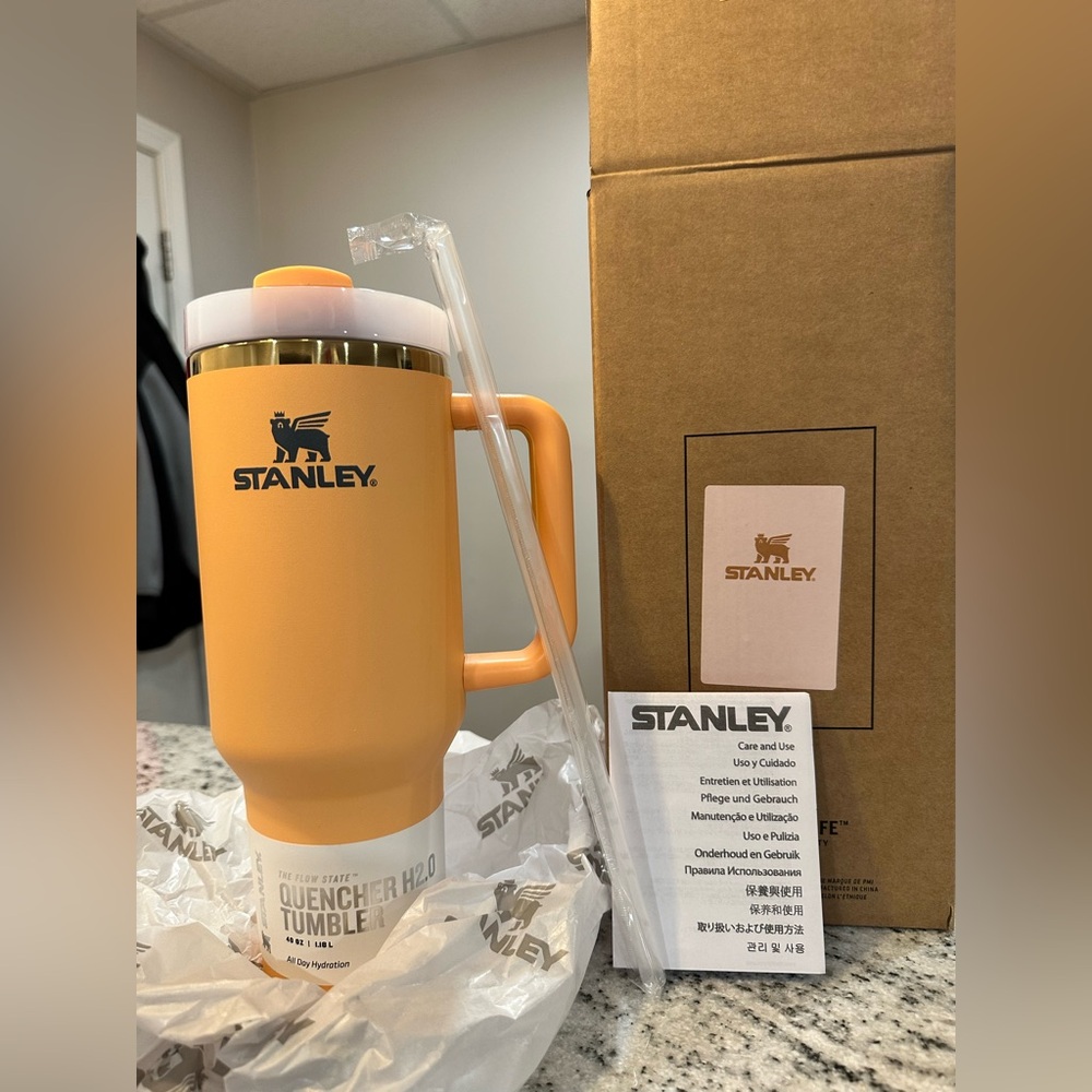 Stanley insulated travel mug creamsicle color